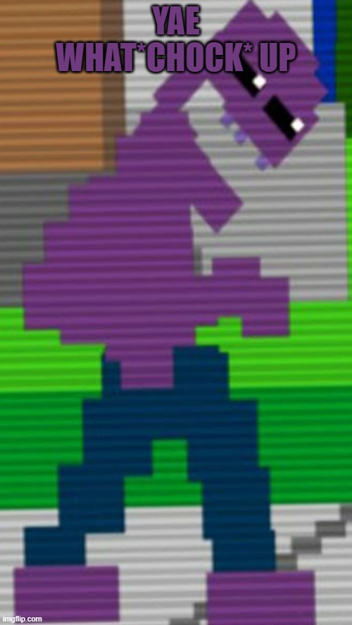 *chocks on air* | YAE WHAT*CHOCK* UP | image tagged in purple guy sister location | made w/ Imgflip meme maker