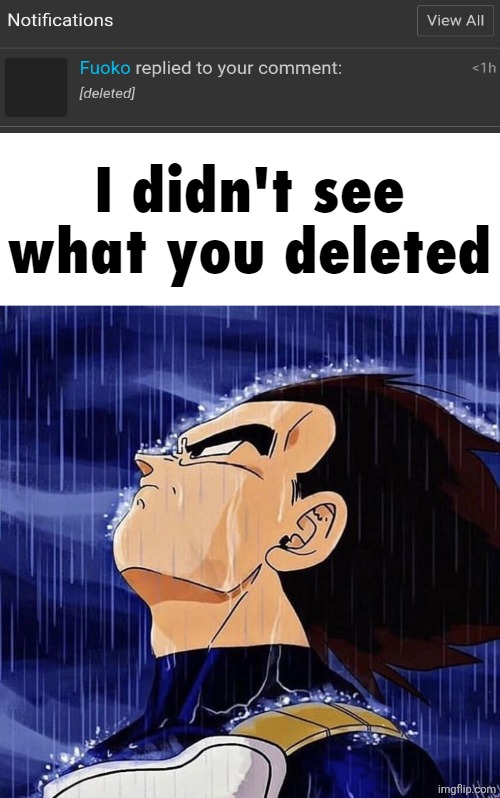 I Didn't See What You Deleted | image tagged in i didn't see what you deleted | made w/ Imgflip meme maker
