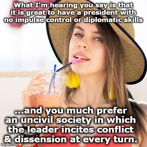 What I'm hearing you say is that it is great to have a president with no impulse control or diplomatic skills ...and you much prefer an unci | image tagged in beautiful woman in hat with beverage | made w/ Imgflip meme maker