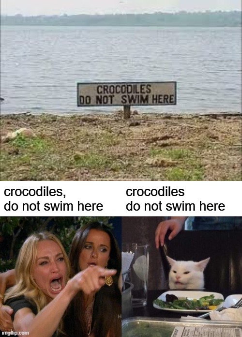 crocodiles do not swim here | crocodiles, do not swim here; crocodiles do not swim here | image tagged in memes,woman yelling at cat,crocodile | made w/ Imgflip meme maker
