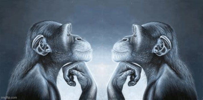 monkeys mogging each other Blank Meme Template