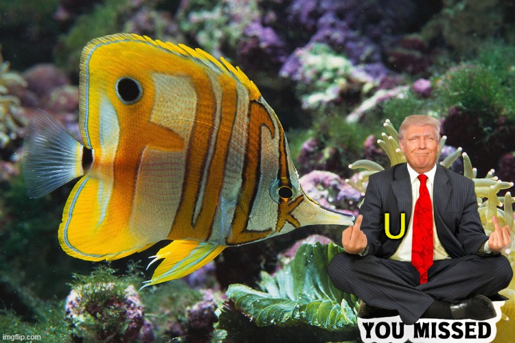 U | made w/ Imgflip meme maker