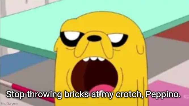 Jake Wow | Stop throwing bricks at my crotch, Peppino. | image tagged in jake wow | made w/ Imgflip meme maker