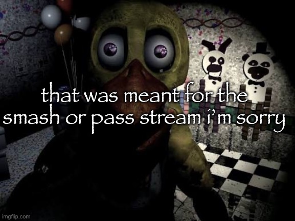 withered chica staring | that was meant for the smash or pass stream i’m sorry | image tagged in withered chica staring | made w/ Imgflip meme maker