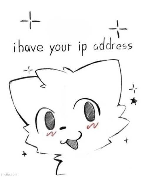 ^w^ | image tagged in boykisser i have your ip address | made w/ Imgflip meme maker