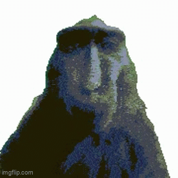 Australopithecus Rizzs Gifs monkey rizz - Imgflip