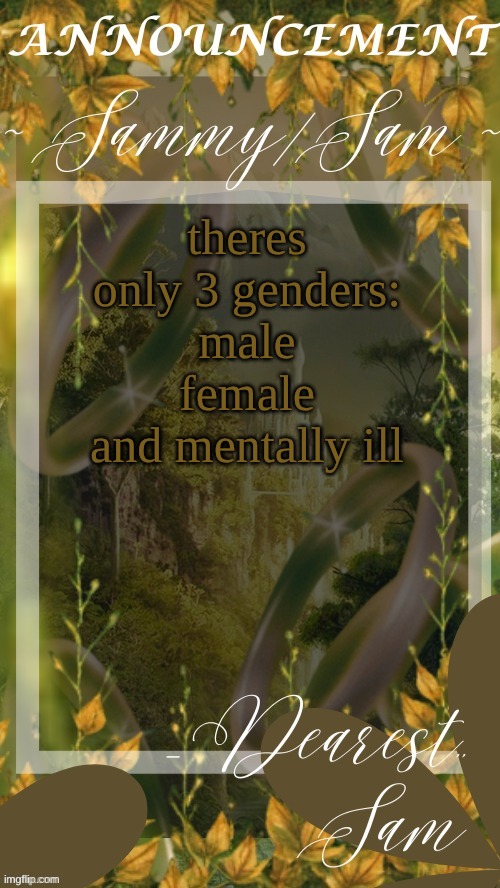 sams LOTR temp (thx v) | theres only 3 genders:
male
female
and mentally ill | image tagged in sams lotr temp thx v | made w/ Imgflip meme maker