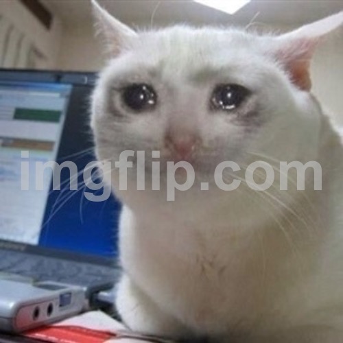 Crying cat | image tagged in crying cat | made w/ Imgflip meme maker