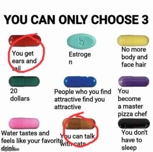 Crap, I don't have a third one. | image tagged in you can only choose 3 | made w/ Imgflip meme maker