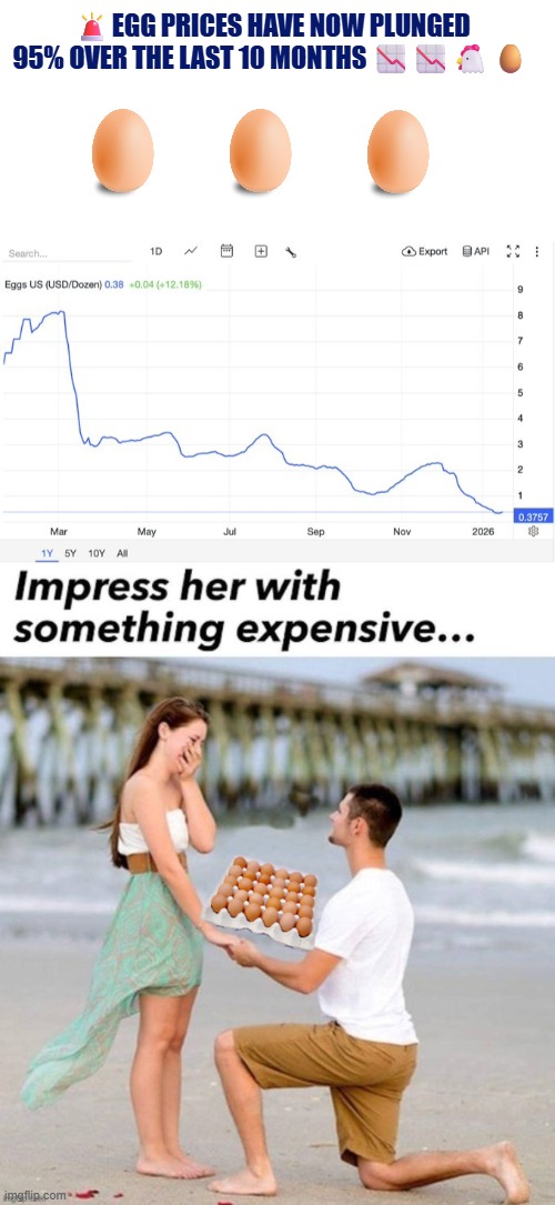 Egg Prices have now plunged 95% over the last 10 months | 🚨EGG PRICES HAVE NOW PLUNGED 95% OVER THE LAST 10 MONTHS 📉📉🐔🥚 | image tagged in eggs,economy,fortune,bull market,chickens,affordability | made w/ Imgflip meme maker