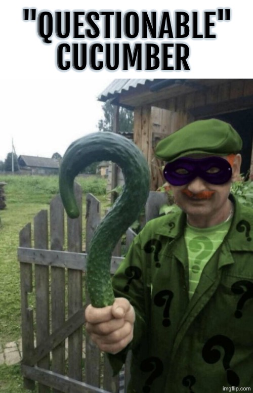 Questionable Cucumber | "QUESTIONABLE" CUCUMBER | image tagged in cursed images,what a terrible day to have eyes,excuse me wtf,i have several questions,dafuq,weirdo | made w/ Imgflip meme maker