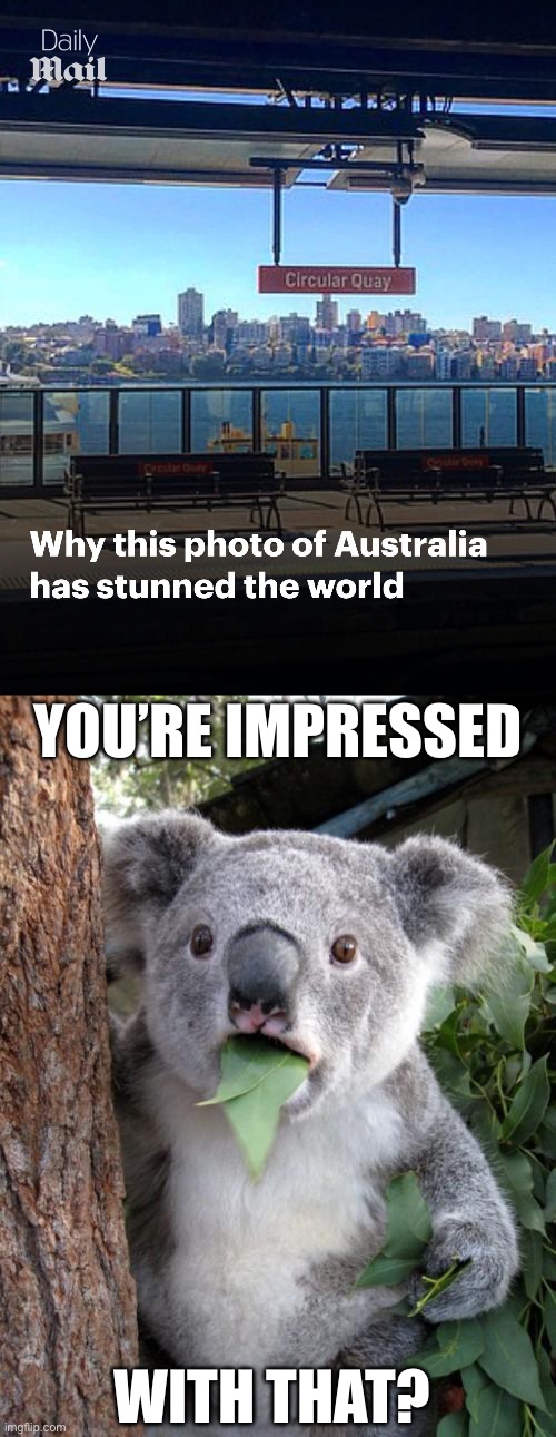 It’s pretty meh | YOU’RE IMPRESSED; WITH THAT? | image tagged in memes,surprised koala,unimpressed,city,sydney | made w/ Imgflip meme maker