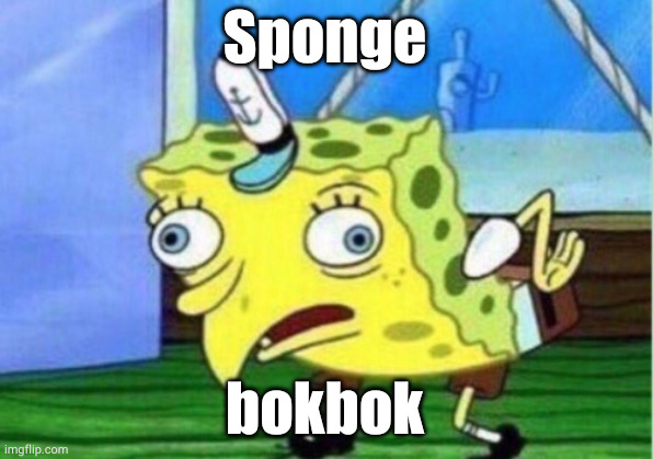 Mocking Spongebob | Sponge; bokbok | image tagged in memes,mocking spongebob | made w/ Imgflip meme maker