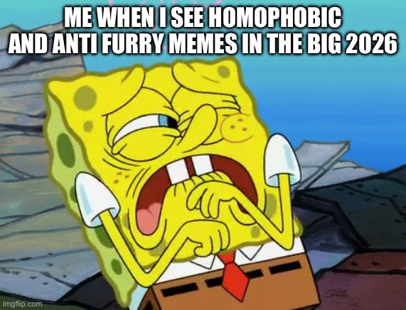 Can We Just Stop Hating People Because They're Different | ME WHEN I SEE HOMOPHOBIC AND ANTI FURRY MEMES IN THE BIG 2026 | image tagged in cringing spongebob,anti furry,homophobic,cringe | made w/ Imgflip meme maker