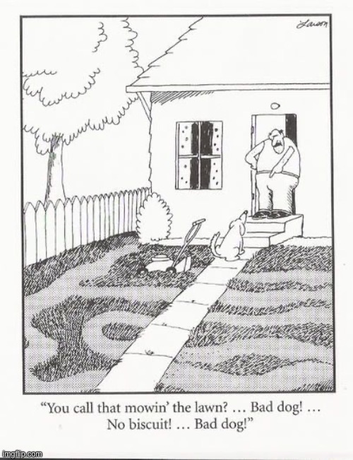 You get what you pay for… | image tagged in the far side,comics,dog,lawn,bad job | made w/ Imgflip meme maker