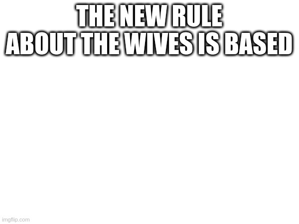 No more adultery!!!! | THE NEW RULE ABOUT THE WIVES IS BASED | image tagged in sans of topic,seventh commandment | made w/ Imgflip meme maker