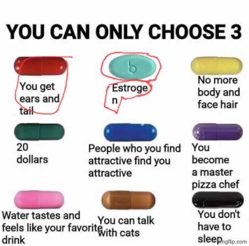 you can only choose 3 | image tagged in you can only choose 3 | made w/ Imgflip meme maker