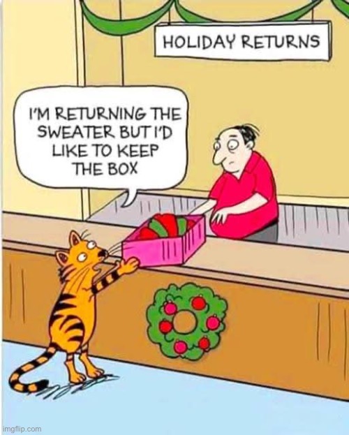 Those box is the thing… | image tagged in cats,comics,holiday,return,box | made w/ Imgflip meme maker