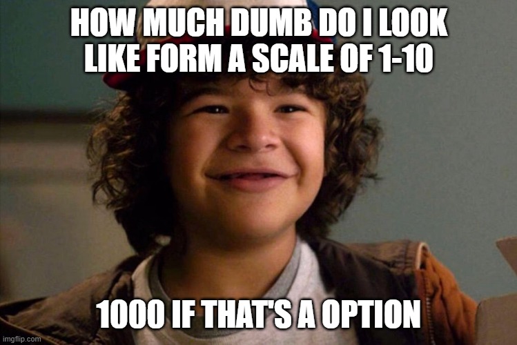 Stranger Things | HOW MUCH DUMB DO I LOOK LIKE FORM A SCALE OF 1-10; 1000 IF THAT'S A OPTION | image tagged in stranger things | made w/ Imgflip meme maker