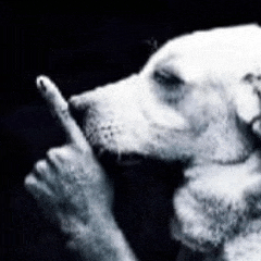 Dont Shout Blank Meme Template