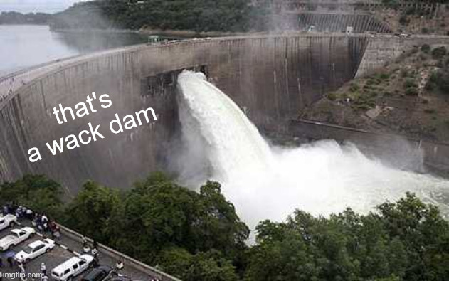 Dam with hole | that's a wack dam | image tagged in dam with hole | made w/ Imgflip meme maker