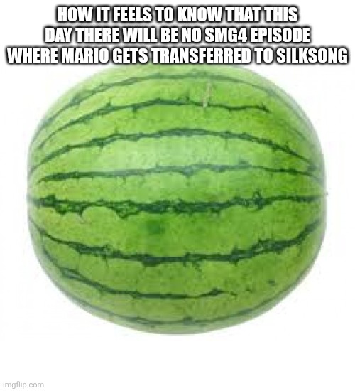 Watermelon | HOW IT FEELS TO KNOW THAT THIS DAY THERE WILL BE NO SMG4 EPISODE WHERE MARIO GETS TRANSFERRED TO SILKSONG | image tagged in watermelon | made w/ Imgflip meme maker