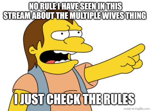 Nelson Muntz haha | NO RULE I HAVE SEEN IN THIS STREAM ABOUT THE MULTIPLE WIVES THING; I JUST CHECK THE RULES | image tagged in nelson muntz haha | made w/ Imgflip meme maker