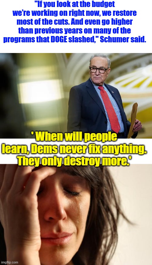 "If you look at the budget we’re working on right now, we restore most of the cuts. And even go higher than previous years on many of the programs that DOGE slashed," Schumer said. ' When will people learn, Dems never fix anything. They only destroy more.' | image tagged in memes,first world problems | made w/ Imgflip meme maker
