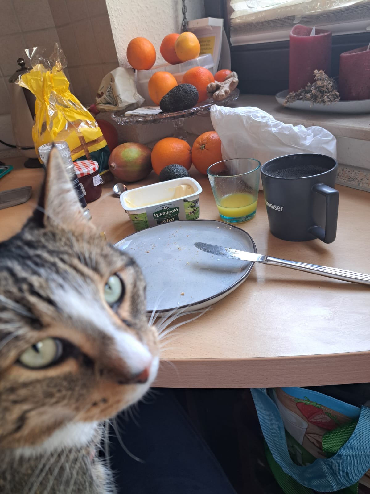 Breakfast Blank Meme Template