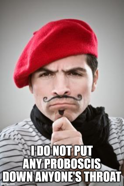 Frenchman | I DO NOT PUT ANY PROBOSCIS DOWN ANYONE'S THROAT | image tagged in frenchman | made w/ Imgflip meme maker