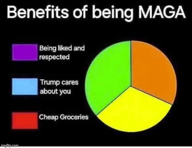 Benefits of being maga | image tagged in donald trump,trump,maga,nevertrump meme,republican,conservative | made w/ Imgflip meme maker