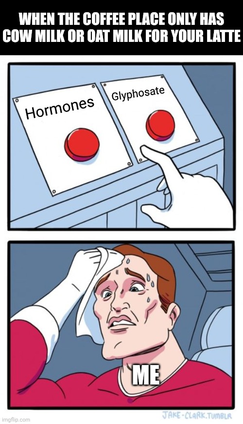 Two Buttons Meme | WHEN THE COFFEE PLACE ONLY HAS COW MILK OR OAT MILK FOR YOUR LATTE; Glyphosate; Hormones; ME | image tagged in memes,two buttons | made w/ Imgflip meme maker