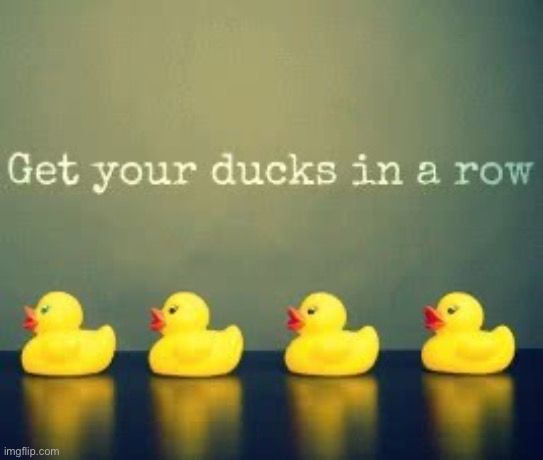 duckies | image tagged in msmg,ducks,rubber ducks,duck,funny | made w/ Imgflip meme maker