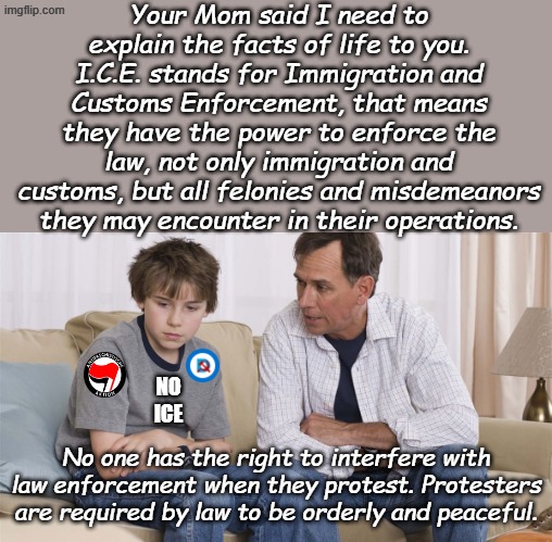 Explaining the Facts of Life | Your Mom said I need to explain the facts of life to you.
I.C.E. stands for Immigration and Customs Enforcement, that means they have the power to enforce the law, not only immigration and customs, but all felonies and misdemeanors they may encounter in their operations. NO ICE; No one has the right to interfere with law enforcement when they protest. Protesters are required by law to be orderly and peaceful. | image tagged in discussion | made w/ Imgflip meme maker