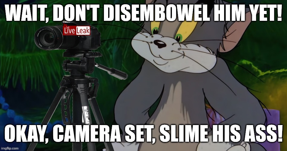 WAIT, DON'T DISEMBOWEL HIM YET! OKAY, CAMERA SET, SLIME HIS ASS! | image tagged in tom filming | made w/ Imgflip meme maker