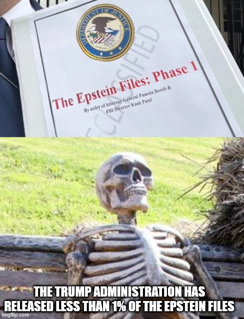 THE TRUMP ADMINISTRATION HAS RELEASED LESS THAN 1% OF THE EPSTEIN FILES | image tagged in epstein files,memes,waiting skeleton | made w/ Imgflip meme maker