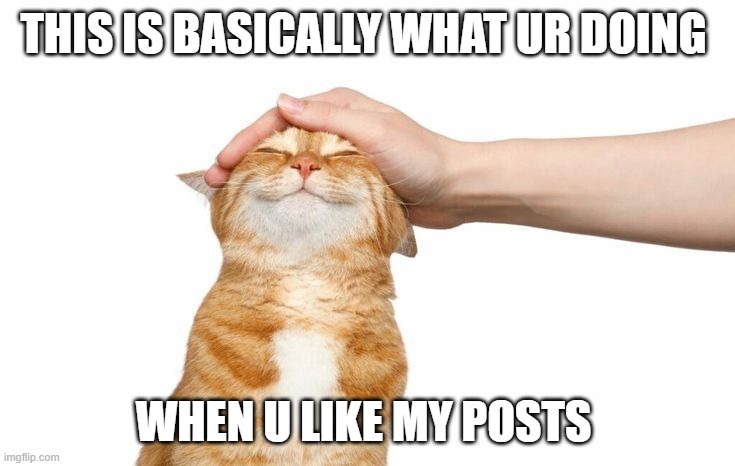 Cats | THIS IS BASICALLY WHAT UR DOING; WHEN U LIKE MY POSTS | image tagged in cats,cat,grumpy cat,cute cat,smudge the cat,i should buy a boat cat | made w/ Imgflip meme maker