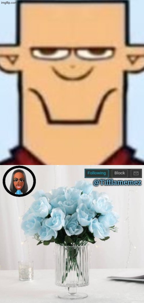 Voting game semifinals are starting, who of these two shall advance to the finale | image tagged in sped tyler,voting game s15 | made w/ Imgflip meme maker