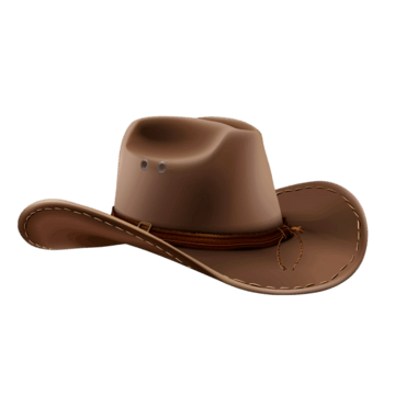 cowboy hat Meme Template