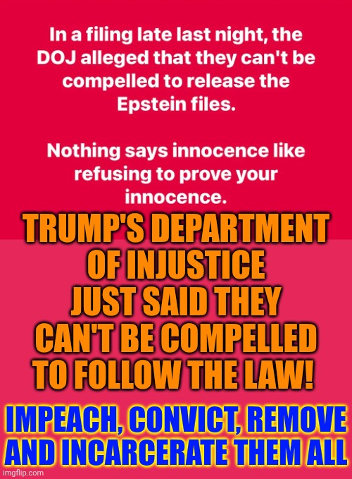 Just Leak The Epstein Files Already The Terrorists Were NEVER Going To Release More Proof That Trump Is A Trafficker & Child Rap | TRUMP'S DEPARTMENT OF INJUSTICE JUST SAID THEY CAN'T BE COMPELLED TO FOLLOW THE LAW! IMPEACH, CONVICT, REMOVE AND INCARCERATE THEM ALL | image tagged in memes,maga,lock him up,trump unfit unqualified dangerous,terrorists,nazis | made w/ Imgflip meme maker