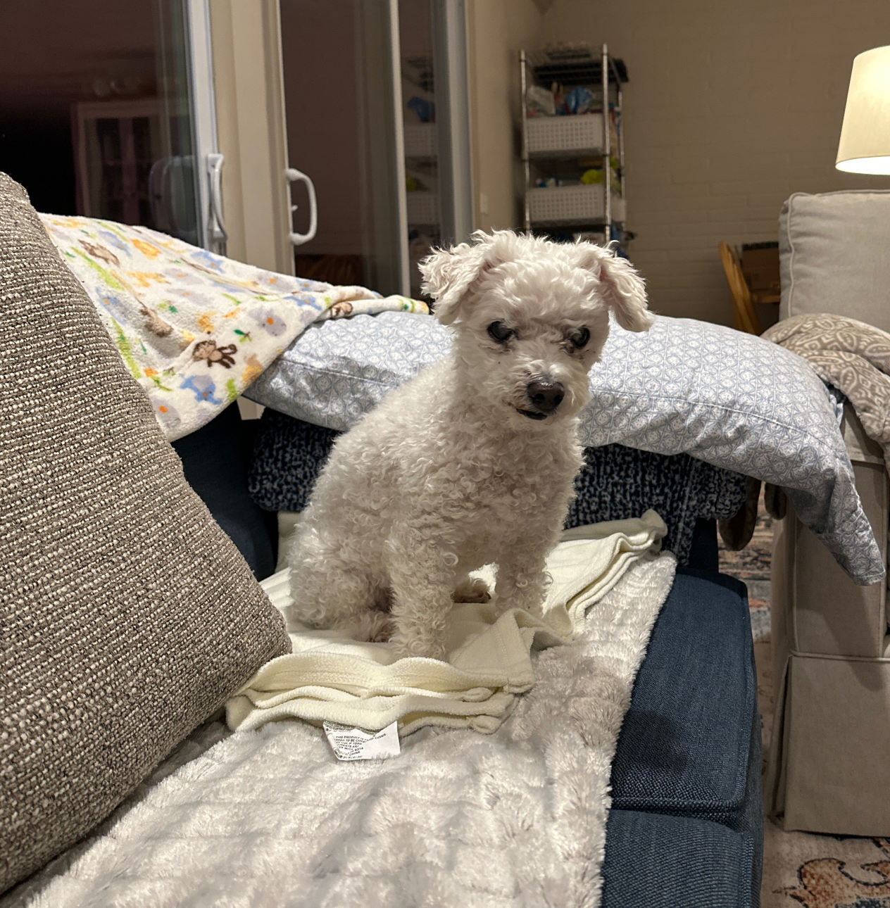 WTF is that thing? Blank Meme Template