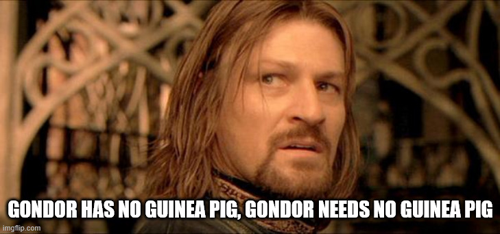 Gondor has no King, Gondor needs no king (Boromir) | GONDOR HAS NO GUINEA PIG, GONDOR NEEDS NO GUINEA PIG | image tagged in gondor has no king gondor needs no king boromir | made w/ Imgflip meme maker