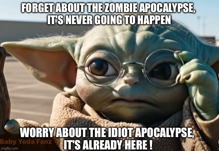 Apocalypse | FORGET ABOUT THE ZOMBIE APOCALYPSE, 
IT'S NEVER GOING TO HAPPEN; WORRY ABOUT THE IDIOT APOCALYPSE, 
IT'S ALREADY HERE ! | image tagged in funny,baby yoda | made w/ Imgflip meme maker