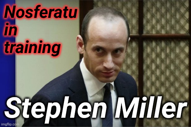 Nosferatu in training Stephen Miller | image tagged in stephen miller | made w/ Imgflip meme maker