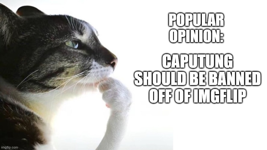 popular opinion imglfp great meme reset | POPULAR OPINION:; CAPUTUNG SHOULD BE BANNED OFF OF IMGFLIP | image tagged in this is me title | made w/ Imgflip meme maker