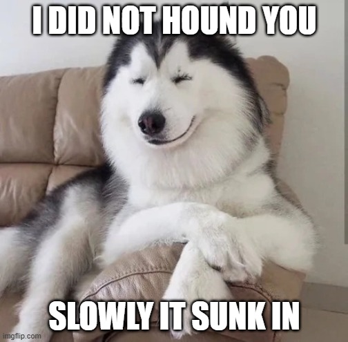 Happy on Mute | I DID NOT HOUND YOU; SLOWLY IT SUNK IN | image tagged in happy on mute | made w/ Imgflip meme maker