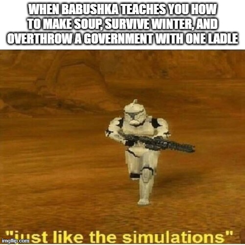 Just like the simulations | WHEN BABUSHKA TEACHES YOU HOW TO MAKE SOUP, SURVIVE WINTER, AND OVERTHROW A GOVERNMENT WITH ONE LADLE | image tagged in just like the simulations,slavic lives matter,black lives matter | made w/ Imgflip meme maker