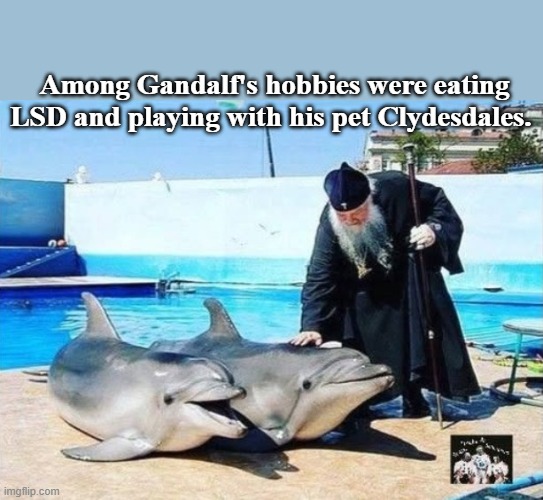 Among Gandalf's hobbies were eating LSD and playing with his pet Clydesdales. | image tagged in goofy | made w/ Imgflip meme maker