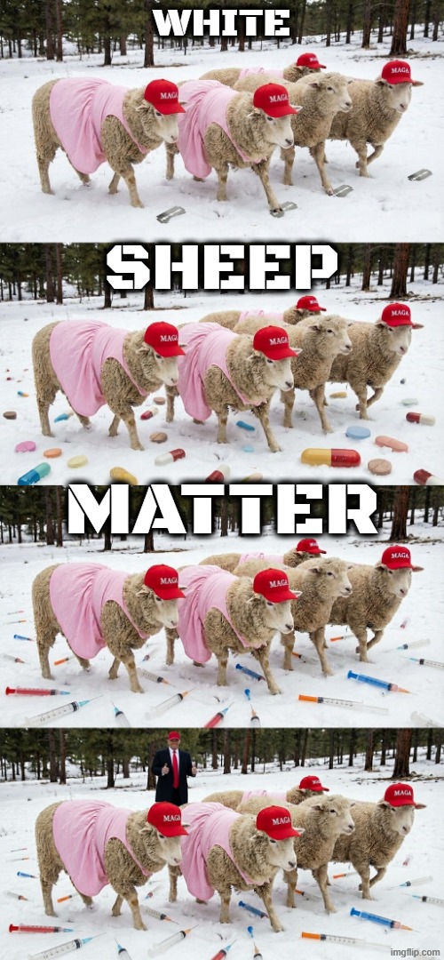 WSM | WHITE; SHEEP; MATTER | image tagged in trump,maga,war on drugs,drug addiction,cocaine,hard to swallow pills | made w/ Imgflip meme maker