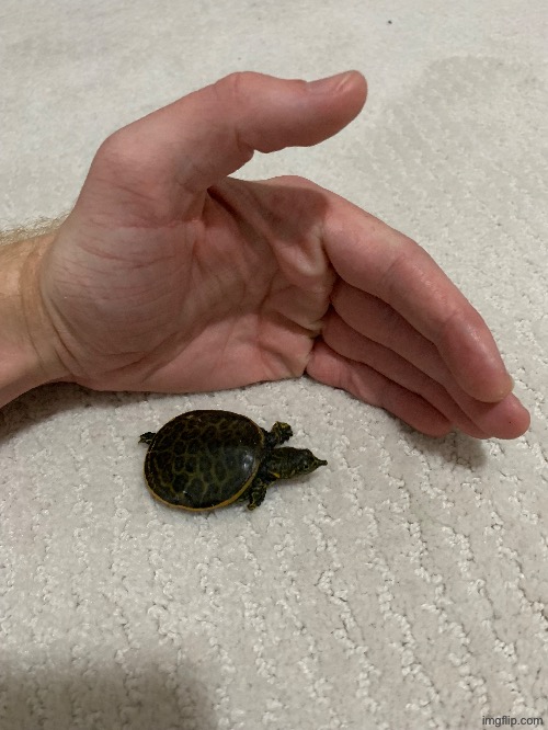 I hope he’s living his best life | made w/ Imgflip meme maker